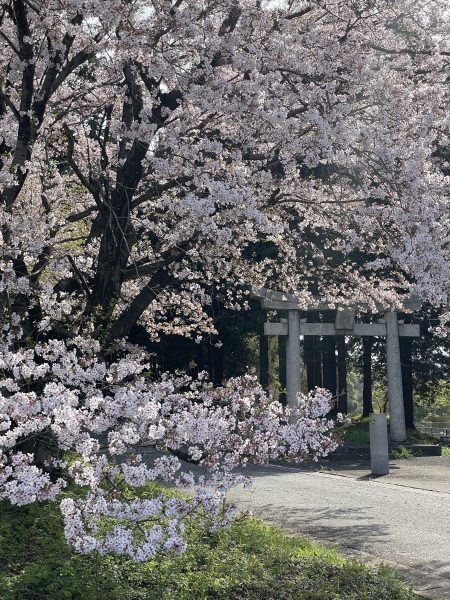 部木八幡神社